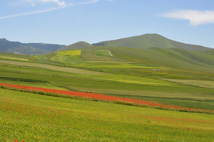 Monti Sibillini